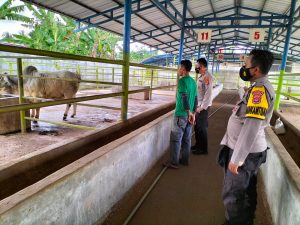 Kapolsek Balaraja Terjun Langsung Cek Dan Ricek Cegah Wabah PMK,Giat Pendataan Hewan Ternak Milik Warga