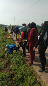 Desa Rancailat Kecamatan Kresek Menerima 5000 Bibit Tanaman Dan Pohon Dalam Rangka Kegiatan Go Green”Menanam Untuk Kehidupan”