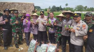 Muspika Kecamatan Sukamulya Panen Timun,Sayur-Sayuran,Manfaatkan Lahan Tidur Di Desa Buniayu