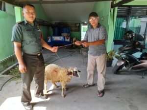 Koramil 05/Balaraja menyerahkan hewan Qurban dan Pemotongan hewan Qurban di Makoramil 05/Balaraja Kamis (29/6/2023).