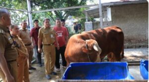 Sekda Kabupaten Tangerang Pastikan Hewan Kurban Sehat dan Layak