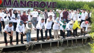 Hari Bumi, Bupati Tangerang Bersama FORHATI Dan KAHMI Tanam 2.000 Mangrove Di Ketapang Urban Aquaculture