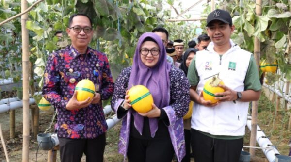 Wabup Intan Apresiasi Green House Anugerah Farm Sebagai Solusi Pertanian Modern dan Ramah Lingkungan