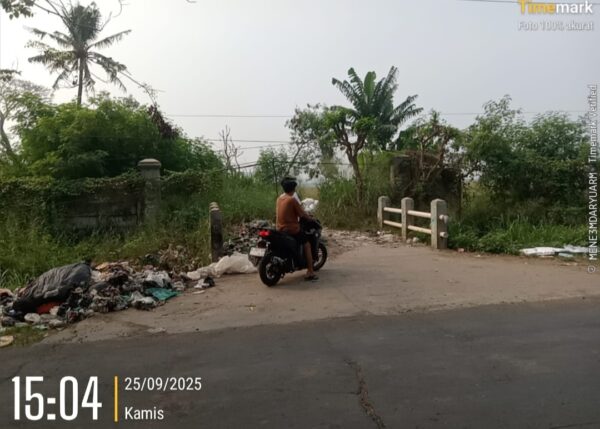 Di Semak Belukar Di Duga Tempat Transaksi Obat-Obatan Terlarang . Resahkan Warga Kecamatan Kemiri.